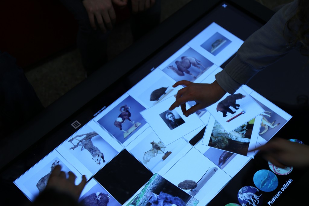 Série de photos, des mains manipulent des images sur la table tactile.